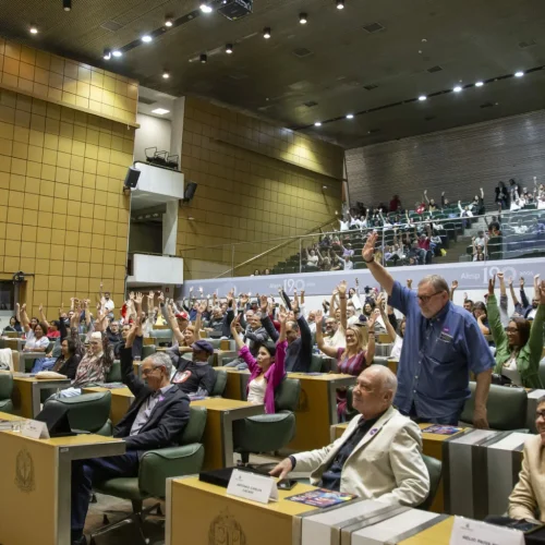 Feeb SP/MS participa de homenagem na Alesp aos 40 anos da greve de 1985