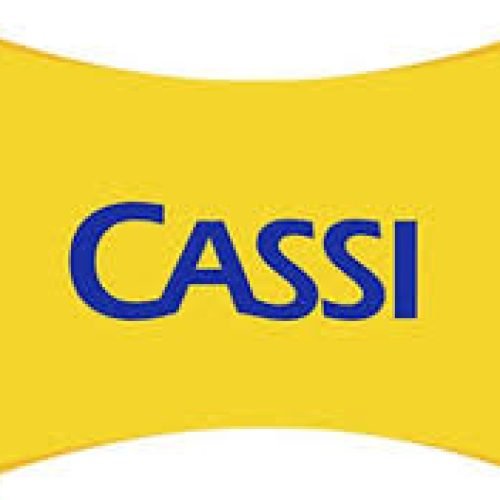 Segue até o dia 25 de maio a votação do Relatório dos Resultados 2025 da CASSI.