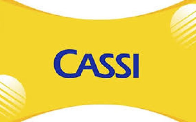 Segue até o dia 25 de maio a votação do Relatório dos Resultados 2025 da CASSI.